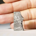 Genuine Natural Muonionalusta Meteorite Slice in Acrylic Display v.9