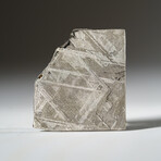 Genuine Natural Muonionalusta Meteorite Slice in Acrylic Display v.4