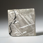 Genuine Natural Muonionalusta Meteorite Slice in Acrylic Display v.5