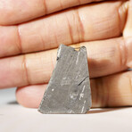 Genuine Natural Muonionalusta Meteorite Slice in Acrylic Display v.3