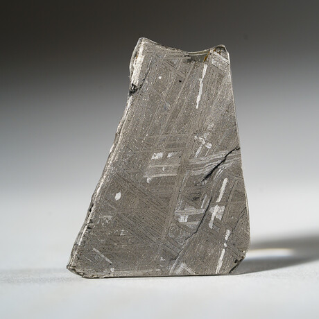 Genuine Natural Muonionalusta Meteorite Slice in Acrylic Display v.3