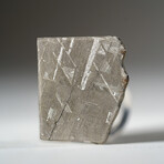 Genuine Natural Muonionalusta Meteorite Slice in Acrylic Display v.7