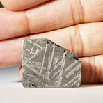 Genuine Natural Muonionalusta Meteorite Slice in Acrylic Display v.8