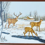 Stag and Doe Deer's in Snowy Landscape