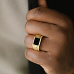 Black Onyx/18K Gold Necklace & Ring Set (12)