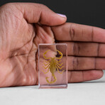Genuine Small Golden Scorpion in Lucite