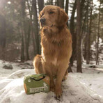 Adventure Medical Kit // Workin' Dog