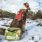 Adventure Medical Kit // Workin' Dog