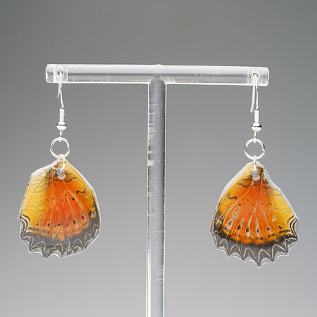 Genuine Red Lacewing Wing Earring  v.3