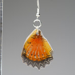 Genuine Red Lacewing Wing Earring  v.3