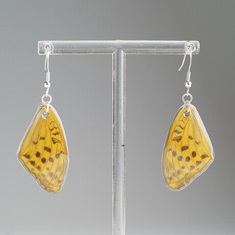 Genuine Spotted Leopard Wing Earring