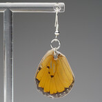 Genuine Chrysippus Wing Earring