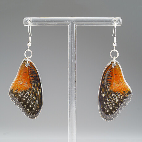 Genuine Red Lacewing Wing Earring v.1