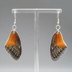 Genuine Red Lacewing Wing Earring v.1