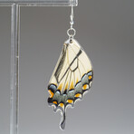 Genuine Yellow Tiger Swallowtail Wing Earring