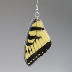 Genuine Yellow Eastern Tiger Yellow Tail Wing Earring