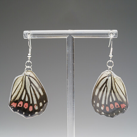 Genuine Pink Spotted Metalmark Wing Earring v.2