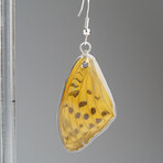 Genuine Spotted Leopard Wing Earring