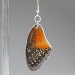 Genuine Red Lacewing Wing Earring v.1