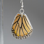 Genuine Monarch Wing Earring v.2