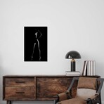 Nude Woman Bodyscape LXXX Print on Acrylic Glass by Johan Swanepoel (16"H x 24"W x 0.25"D)