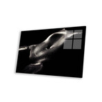 Woman Wet Bodyscape II Print on Acrylic Glass by Johan Swanepoel (24"H x 16"W x 0.25"D)