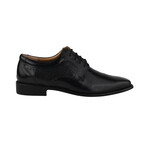 Donald // Men’s Leather Lace-Up Dress Shoes // Black (US: 10)