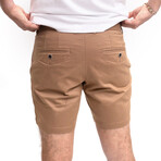 Feel Good Shorts // Smooth Oak (30)