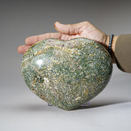 Polished Ocean Jasper Heart from Madagascar