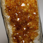 Genuine Citrine Cluster from Brazil