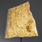 Citrine Quartz Crystal Cluster on Metal Stand (12", 5.7 lbs)