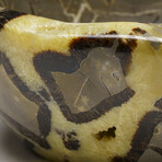 Genuine Polished Septarian Bowl from Madagascar