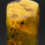 Genuine Amber from Baltic Sea, near Gdansk, Poland