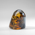 Genuine Natural Amber from Chiapas, Mexico