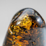 Genuine Natural Amber from Chiapas, Mexico