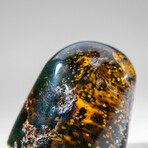 Genuine Natural Amber from Chiapas, Mexico