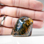 Genuine Natural Amber from Chiapas, Mexico