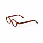 Unisex // Acetate Round Reading Glasses // Havana (Clear +1.00)