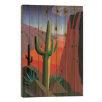 Gringo Pass by Charles Harker (26"H x 18"W x 1.5"D)