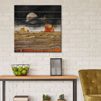 Metallic Desert by SpaceFrog Designs (26"H x 26"W x 1.5"D)