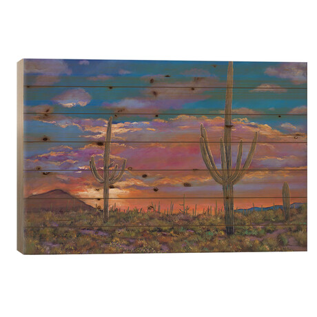 Southern Arizona Evening by Johnathan Harris (18"H x 26"W x 1.5"D)