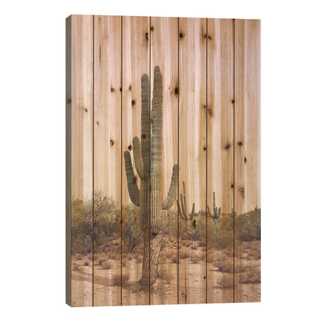 Desert Cactus Blush by Sisi & Seb (26"H x 18"W x 1.5"D)