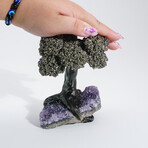 Medium Genuine Pyrite Clustered Gemstone Tree on Amethyst Quartz Matrix  // The Tree of Confidence