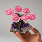 Small Genuine Rose Quartz Clustered Gemstone Tree on Amethyst Matrix (The Love Tree)