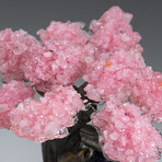 Large Genuine Rose Quartz Clustered Gemstone Tree on Amethyst Matrix (The Love Tree)