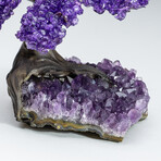 Small Genuine Amethyst Clustered Gemstone Tree on Amethyst Matrix (The Protection Tree)