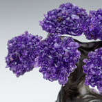 Small Genuine Amethyst Clustered Gemstone Tree on Amethyst Matrix (The Protection Tree)