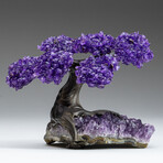 Small Genuine Amethyst Clustered Gemstone Tree on Amethyst Matrix (The Protection Tree)