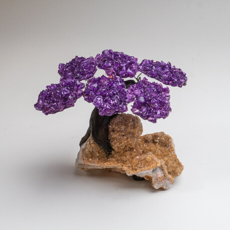 Small Genuine Amethyst Clustered Gemstone Tree on Citrine Matrix (The Empowerment Tree)