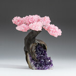 Large Genuine Rose Quartz Clustered Gemstone Tree on Amethyst Matrix (The Love Tree)